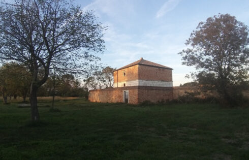 L'île de quarantaine abandonnée d'Italie, dotée d'un hôpital autrefois prospère, est désormais un musée sous-estimé