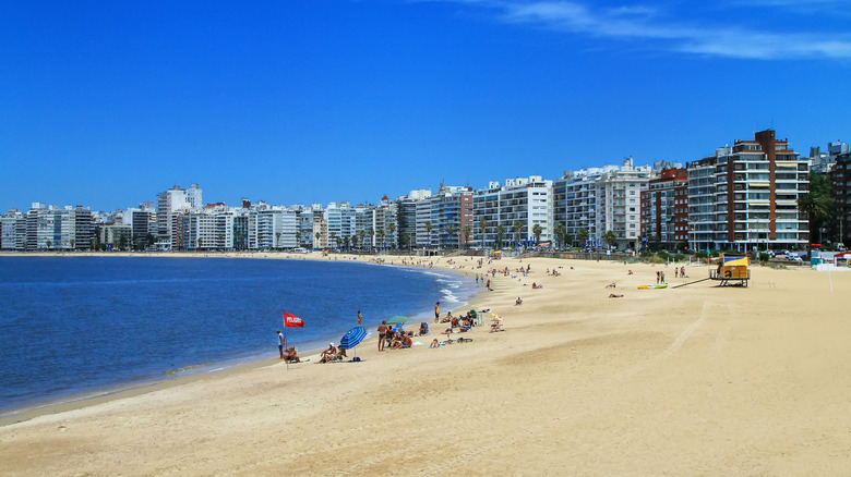Plage de Pocitos à Montevideo, Uruguay, par temps clair