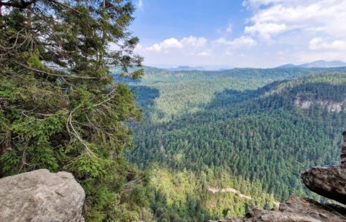 Juste à l'extérieur de la ville de Mexico, ce parc national rempli de faune possède des sentiers de montagne spectaculaires