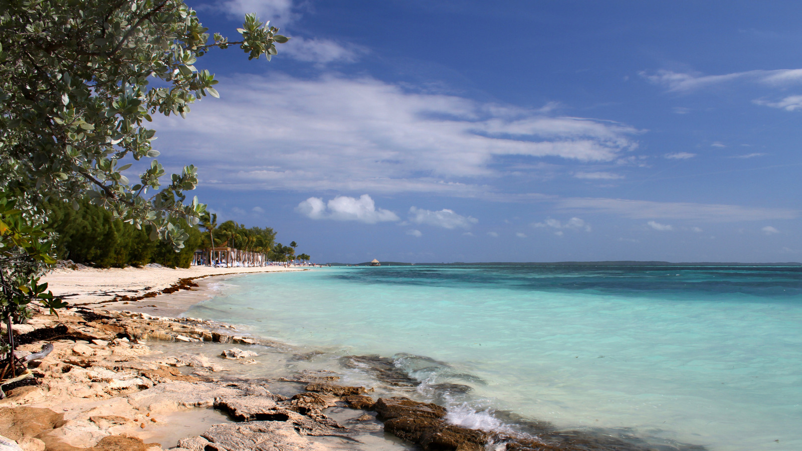 La destination des Bahamas la plus sous-estimée offre une pêche de classe mondiale, des plages peu fréquentées et une ambiance décontractée