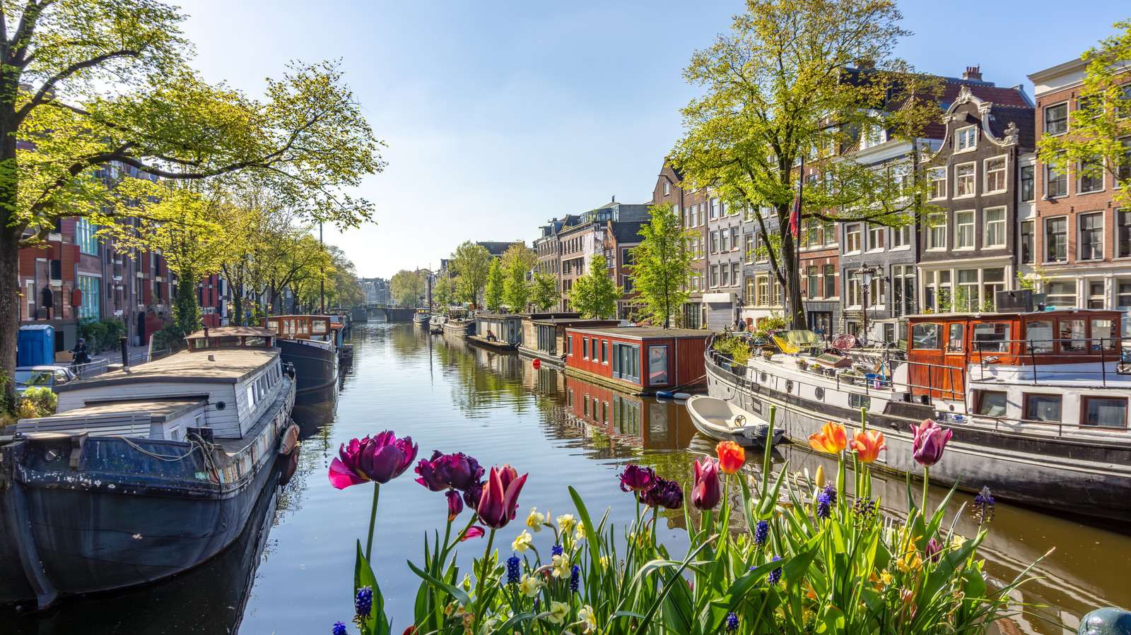 Pourquoi les voyageurs devraient dire au revoir aux vacances à Amsterdam