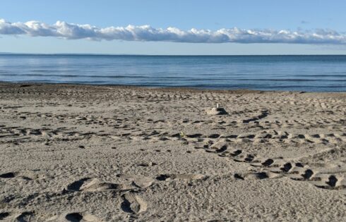 Entre Détroit et Buffalo se trouve le charmant canton du Canada, à proximité de belles plages, de sentiers et de loisirs sur le lac