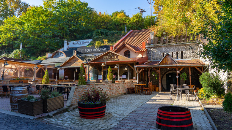 Rangée de façades en pierre et en bois des caves à vin Eger