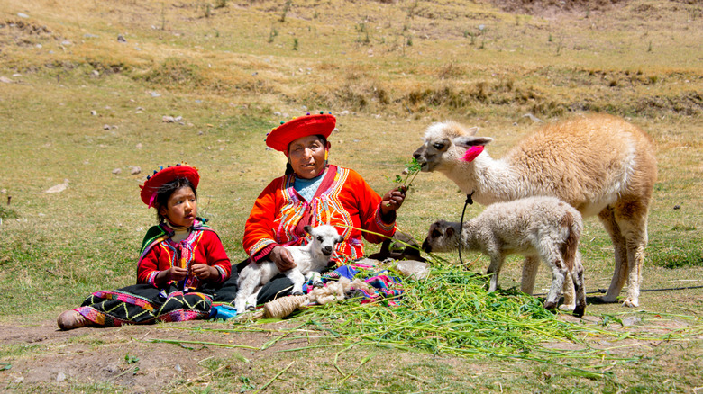 Une femme autochtone et une petite fille vêtues de vêtements traditionnels andins sont assises sur l'herbe avec des bébés animaux, dont un lama, un alpaga et un agneau.
