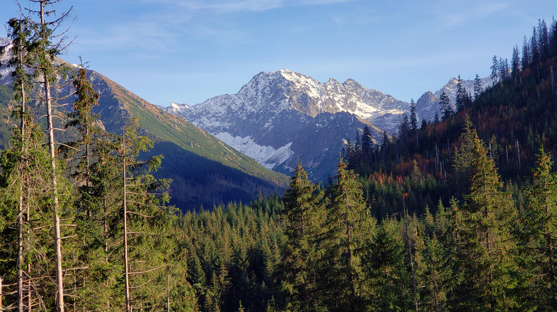 Une montagne aux sommets enneigés entourée de verdure et d'arbres