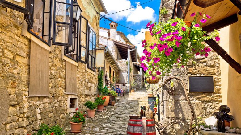 Une rue pittoresque en pierre avec des fleurs aux couleurs vives à Hum, Croatie