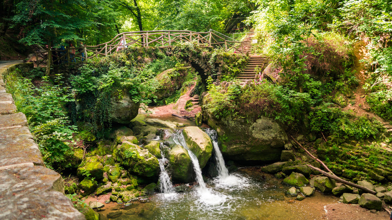 Une section luxuriante du Müllerthal Trail avec les cascades de Schiessentümpel au Luxembourg