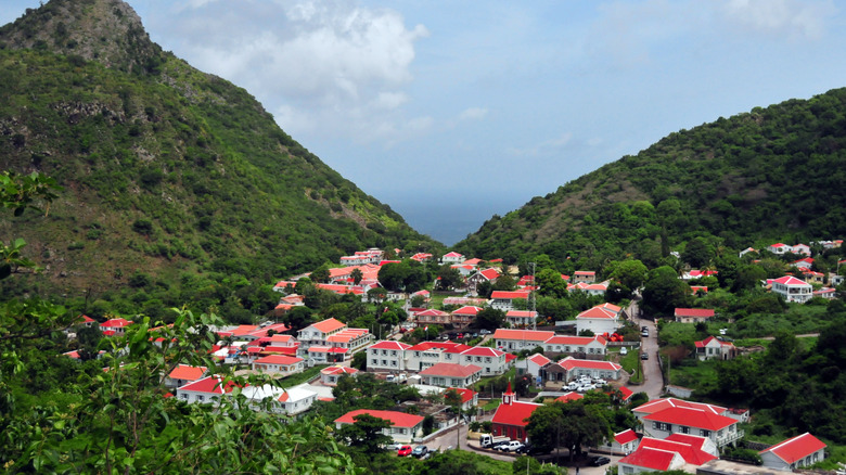 Les maisons aux toits rouges se regroupent entre les collines tropicales de l'île de Saba