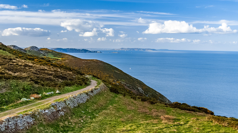 Un sentier à flanc de falaise sur Bray Head avec une vue panoramique sur la mer d'Irlande